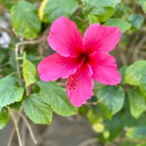 Meet your Posher, Kristy